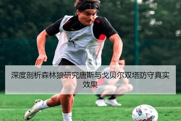 深度剖析森林狼研究唐斯与戈贝尔双塔防守真实效果